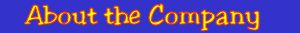 About the Company header